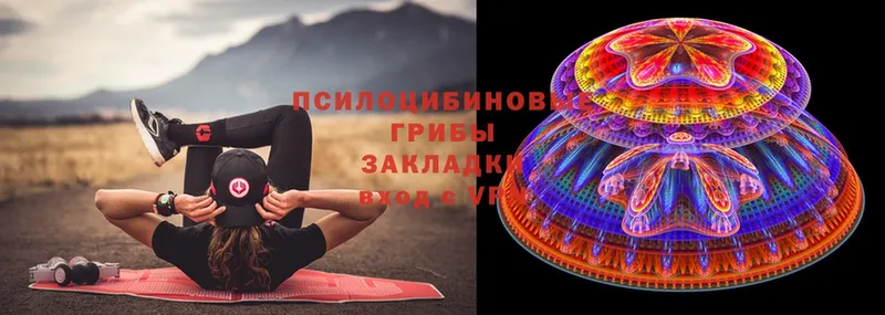 ссылка на мегу ссылки  где купить наркотик  Курган  Псилоцибиновые грибы MAGIC MUSHROOMS 